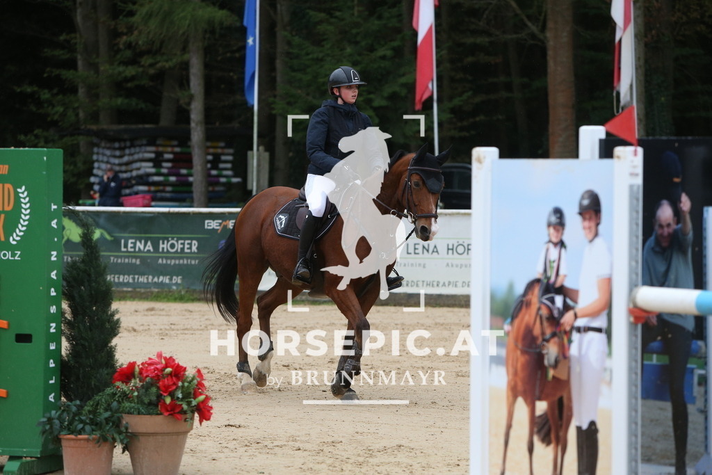 PP013837 | Willkommen bei Brunnmayr - Design & Fotografie – Ihrem Spezialisten für Reitturniere und Pferdeveranstaltungen in Oberösterreich, Salzburg und Bayern! Seit über 17 Jahren sind wir leidenschaftlich dabei.