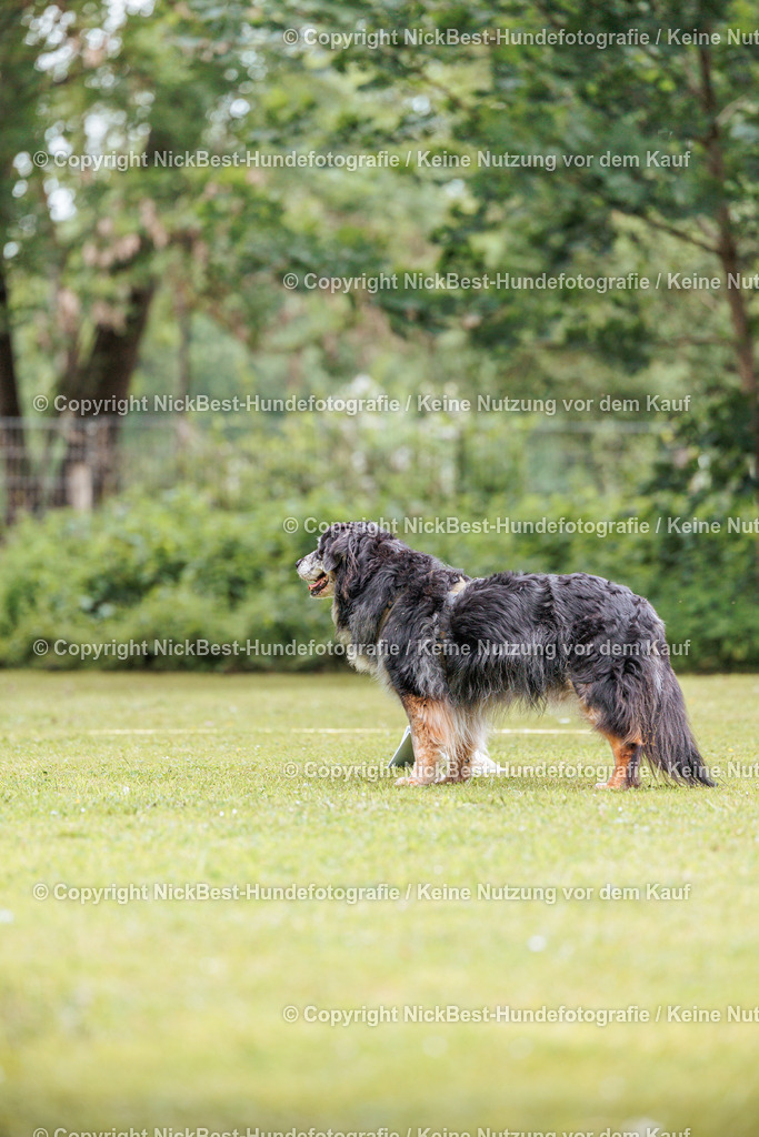 RO-Blumenthal-2026-Nickbest-Hundefotografie-1815 | Dein Hund! Dein Moment! Deine Erinnerungen! Hundefotografie in Bremen Blumenthal. Ich fange die besonderen Momente deines Vierbeiners ein – ob Indoor mit Blitzanlage oder in der freien Natur. Sicher dir dein Moment und dein Termin für eure Erinnerungen.