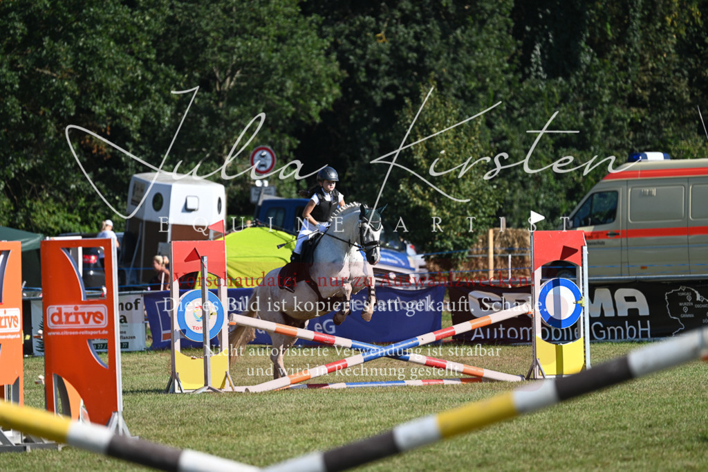 DSC_5193 | Pferde- und Turnierfotografie in Westsachsen. Pferdeportraits, Auftragszeichnungen und intuitive Kunst.