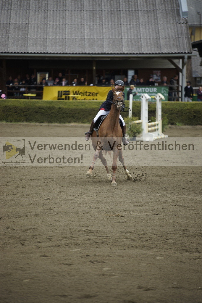 _DSC7153 | equestrian-live-com