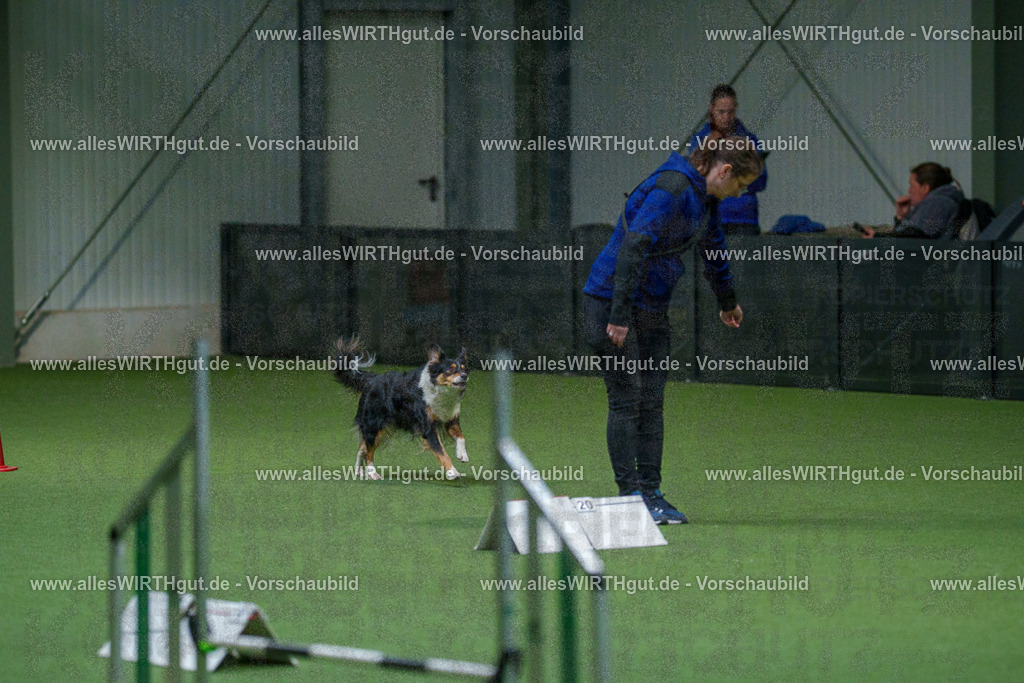 7R503171 | Professionelle Tierfotografie in Mönchengladbach von Daniel Wirth (allesWIRTHgut). Liebevolle & natürliche Bilder von Hunden & Katzen für unvergessliche Erinnerungen.