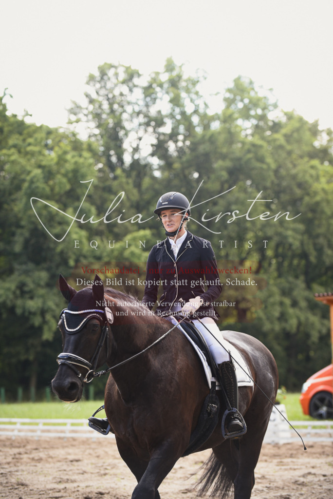 DSC_0700 | Pferde- und Turnierfotografie in Westsachsen. Pferdeportraits, Auftragszeichnungen und intuitive Kunst.