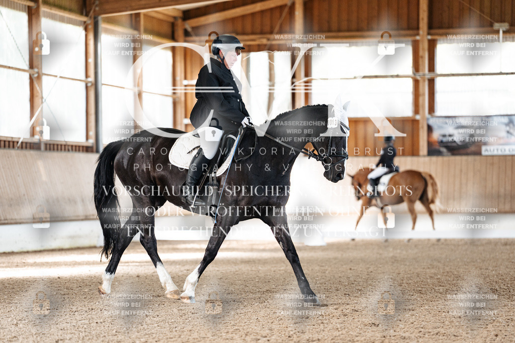 CK909181 | Turnierfotografie Pferdefotografie Trier Rheinland-Pfalz Pferdesport Reitsport Tierfotografie Sportfotografie Pferdevideo Pferdevideografie Equestrianvideography equestrianphotography  - Realized with Pictrs.com
