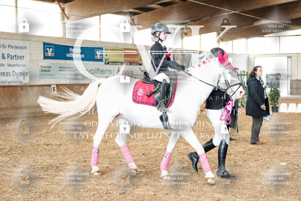 CK906048 | Turnierfotografie Pferdefotografie Trier Rheinland-Pfalz Pferdesport Reitsport Tierfotografie Sportfotografie Pferdevideo Pferdevideografie Equestrianvideography equestrianphotography  - Realized with Pictrs.com