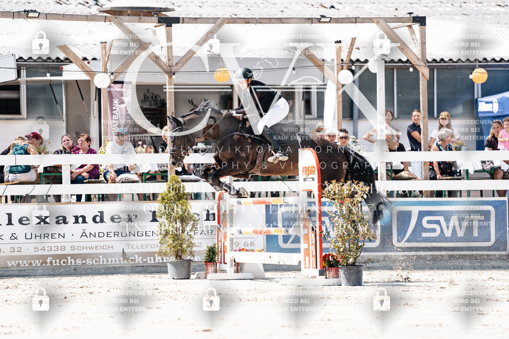 CK909545 | Turnierfotografie Pferdefotografie Trier Rheinland-Pfalz Pferdesport Reitsport Tierfotografie Sportfotografie Pferdevideo Pferdevideografie Equestrianvideography equestrianphotography  - Realisiert mit Pictrs.com