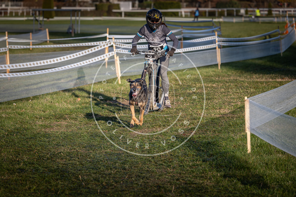 CaniXpix_0L8A3898 | Hundefotografie, Tierfotograf, Pfotenfotografie, Fotoshooting Hund, Hunde Portrait, Hundesport, Hundeportraits, Heideshooting, Hunde, Sportfotograf, Hundefotograf, Turnierhundsport, THS,  - Realisiert mit Pictrs.com