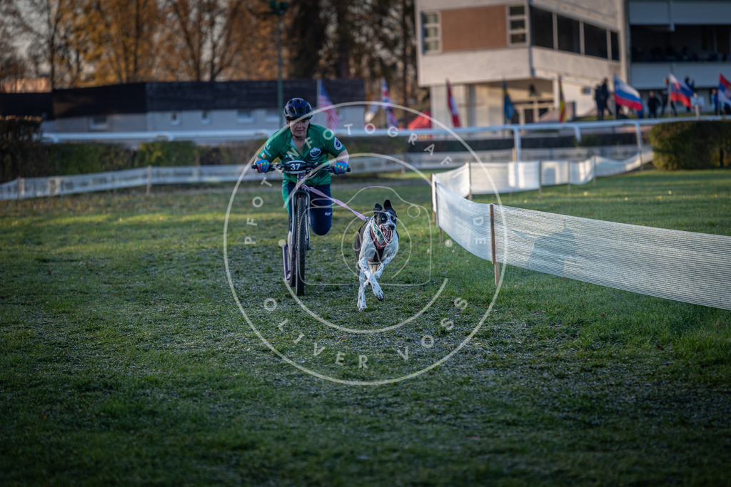 CaniXpix_0L8A1836 | Hundefotografie, Tierfotograf, Pfotenfotografie, Fotoshooting Hund, Hunde Portrait, Hundesport, Hundeportraits, Heideshooting, Hunde, Sportfotograf, Hundefotograf, Turnierhundsport, THS,  - Realisiert mit Pictrs.com