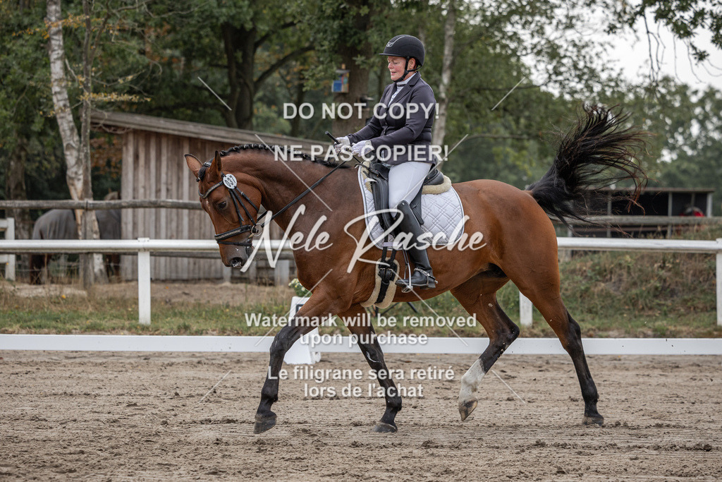 nelerasche_DrL_Ede_82 | nelerasche
