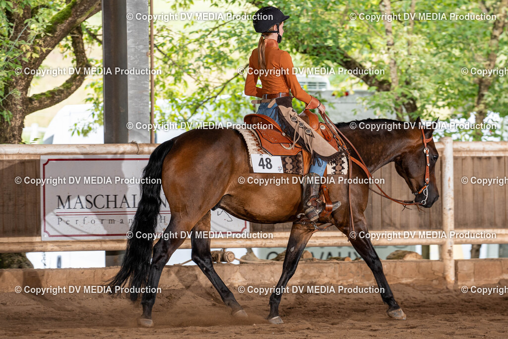 Erbach Tag 1-892 | dv-media-shop - Realisiert mit Pictrs.com