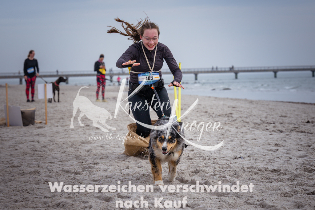 1150_ZZ90951 | kk-dogfotos
