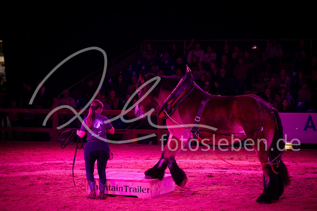 846A6334 | fotosleben - Realisiert mit Pictrs.com