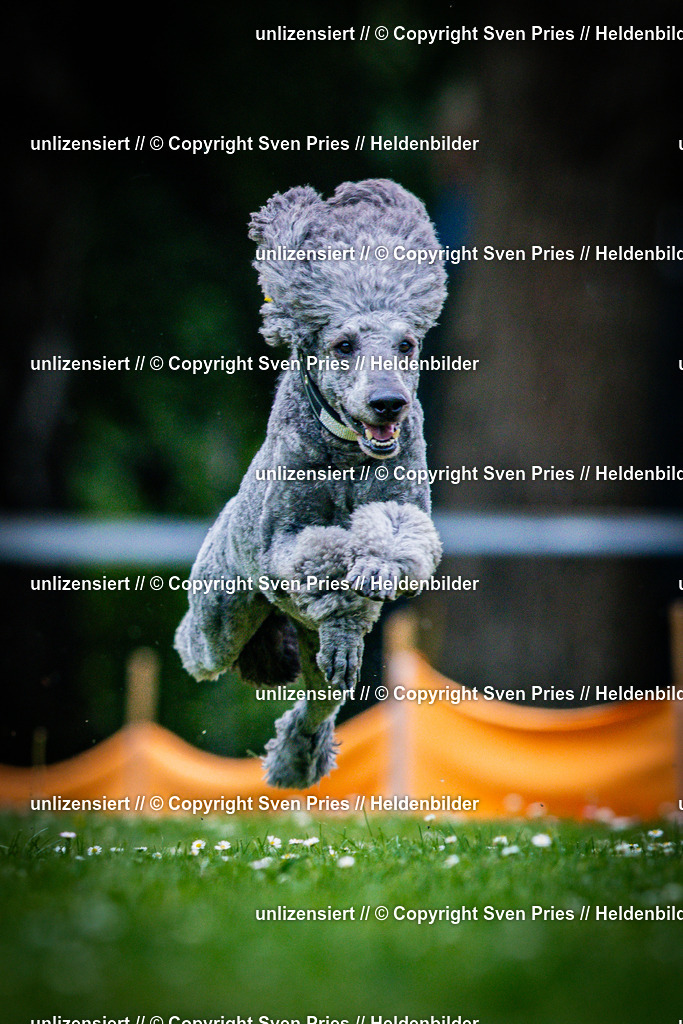 Sven Pries | 2025-05-29 - Pudelrennen KA-Durlach - Realisiert mit Pictrs.com