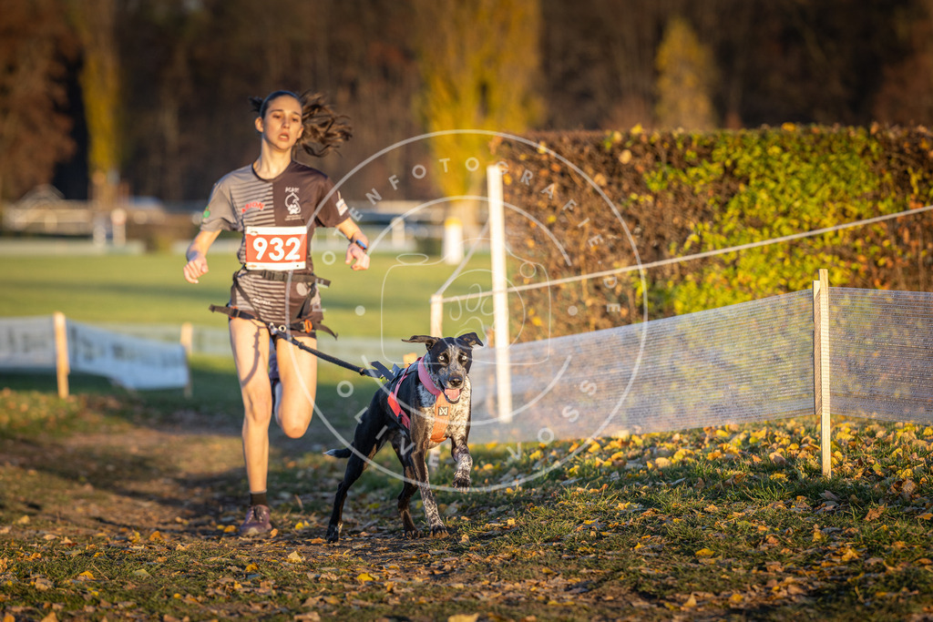 CaniXpix_DV3A5163 | Hundefotografie, Tierfotograf, Pfotenfotografie, Fotoshooting Hund, Hunde Portrait, Hundesport, Hundeportraits, Heideshooting, Hunde, Sportfotograf, Hundefotograf, Turnierhundsport, THS,  - Realisiert mit Pictrs.com