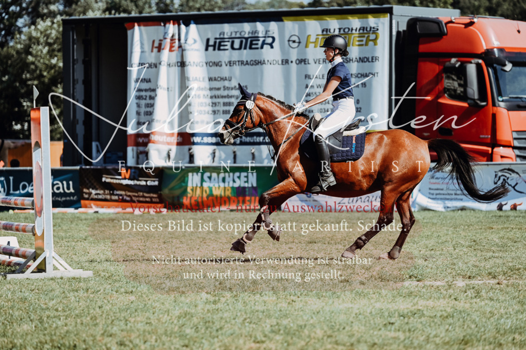 DSC_6954 | Pferde- und Turnierfotografie in Westsachsen. Pferdeportraits, Auftragszeichnungen und intuitive Kunst.