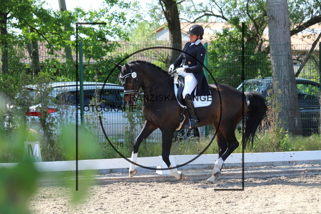 IMG_5087 | franziskalange - Realisiert mit Pictrs.com