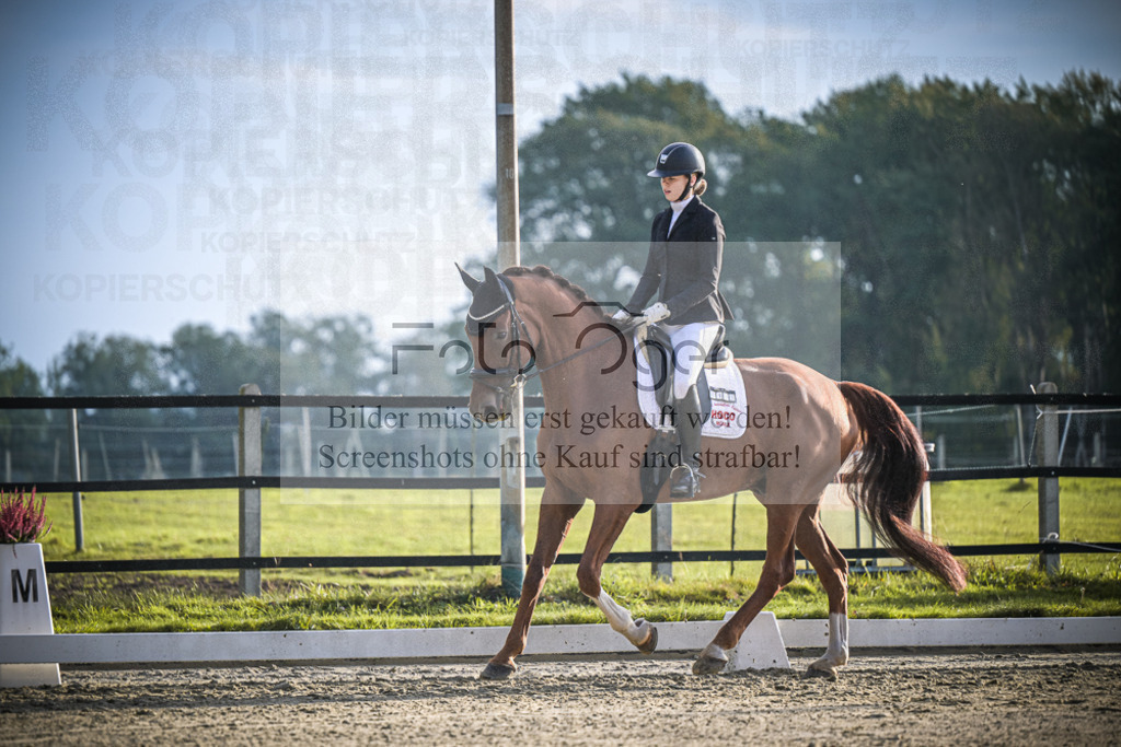 DOS_3337 | Entdecke hochwertige Reitturnierfotos von Foto Oger. Professionell, emotional und authentisch – jetzt Lieblingsmomente im Shop bestellen.Deutschlandweite Turnierfotografie. - Realisiert mit Pictrs.com