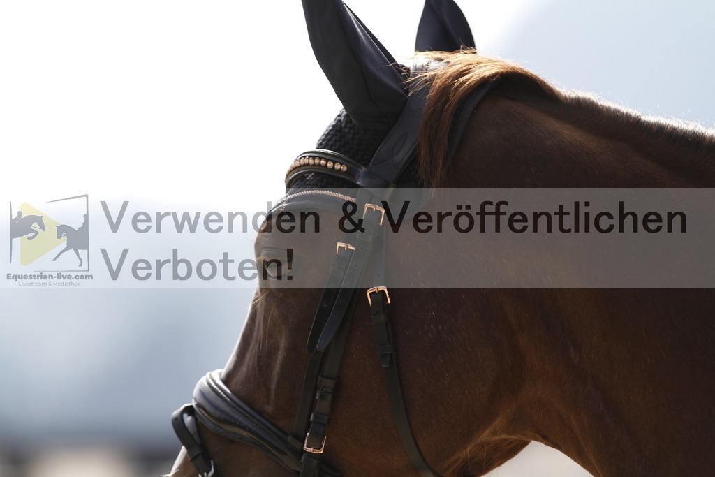 _MG_3264 | equestrian-live-com