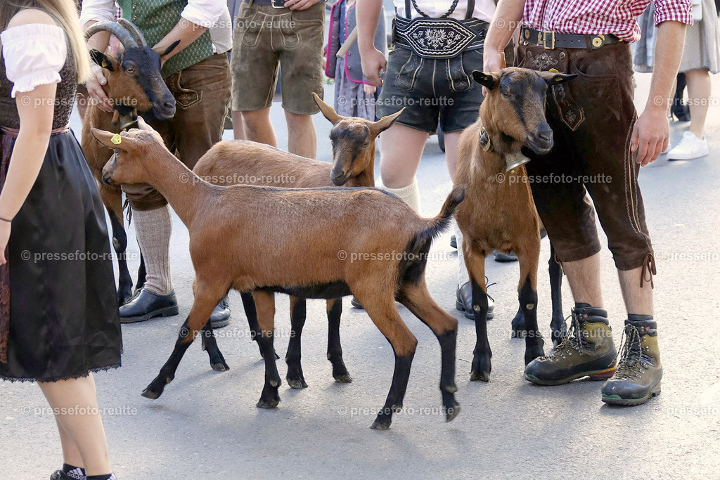 news-2022-Okt16-LJ_Erntedank_Reutte-HOEFEN-DSD04662 | Info aus dem Bezirk Reutte/Ausserfern Tirol sowie eine umfangreiche Bilddatenbank über die gesamte Region: Lechtal, Talkessel Reutte, Tannheimertal, Zwischentoren. Lech, Plansee, Zugspitze, Grenztunnel, B179, Fernpassstraße, Verkehr, Lawinen, Tradition, - Realisiert mit Pictrs.com