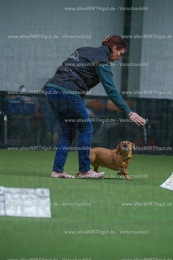 7R501937 | Professionelle Tierfotografie in Mönchengladbach von Daniel Wirth (allesWIRTHgut). Liebevolle & natürliche Bilder von Hunden & Katzen für unvergessliche Erinnerungen.