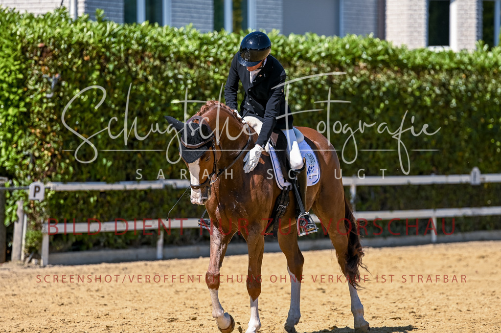 Schugtsche-Aluta25-50.Dressurpferdeprf.L-24 | Schugtsche Fotografie - Realisiert mit Pictrs.com