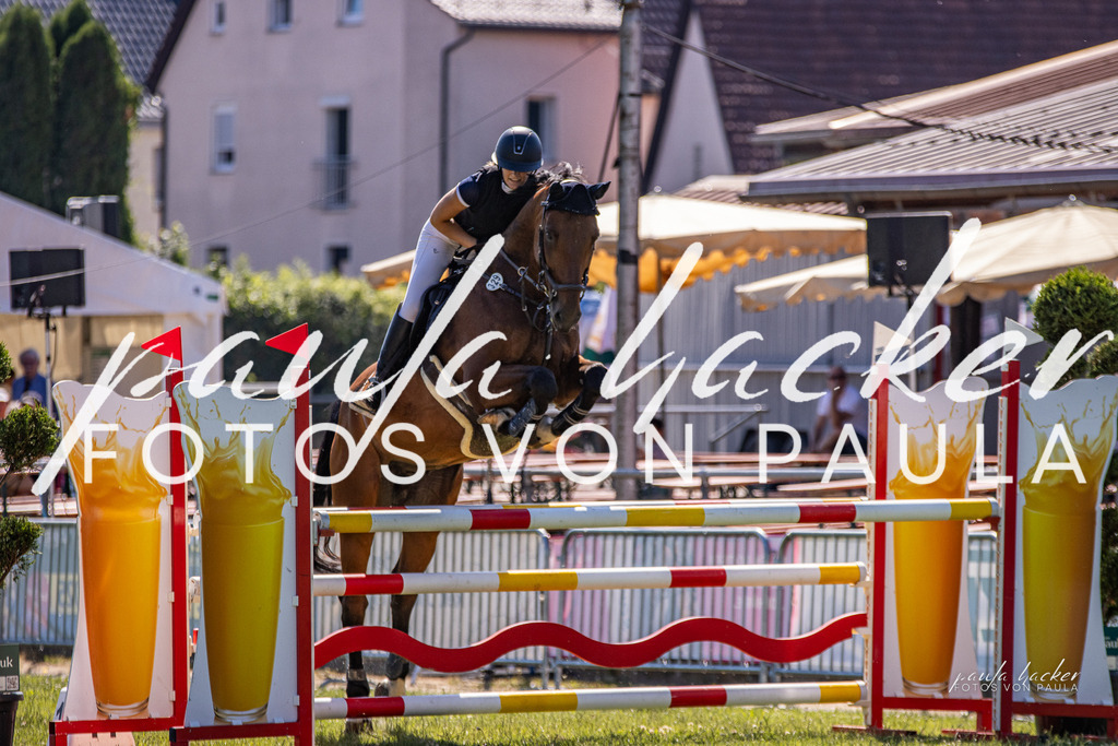 IMG_0209 | Erleben Sie dynamische Sport- und emotionale Tierfotografie in Süddeutschland mit Fotos von Paula. Spezialisiert auf Pferde- und Hundefotografie sowie Sportevents. Kontaktieren Sie mich für einzigartige und ausdrucksstarke Bilder Ihrer besonderen Momente. - Realisiert mit Pictrs.com