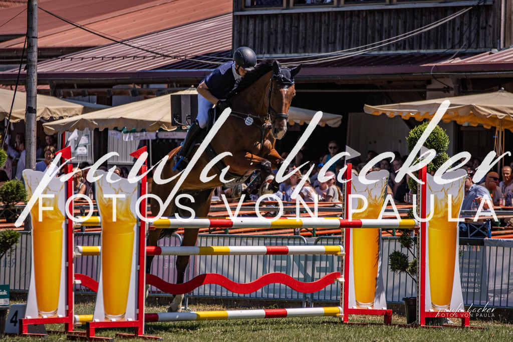 IMG_0523 | Erleben Sie dynamische Sport- und emotionale Tierfotografie in Süddeutschland mit Fotos von Paula. Spezialisiert auf Pferde- und Hundefotografie sowie Sportevents. Kontaktieren Sie mich für einzigartige und ausdrucksstarke Bilder Ihrer besonderen Momente. - Realisiert mit Pictrs.com