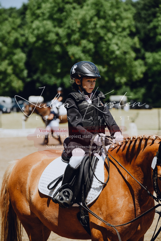 DSC_2399 | Pferde- und Turnierfotografie in Westsachsen. Pferdeportraits, Auftragszeichnungen und intuitive Kunst.