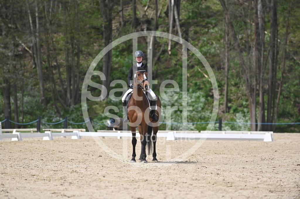 DSC_3173 | sattelsport - Realisiert mit Pictrs.com