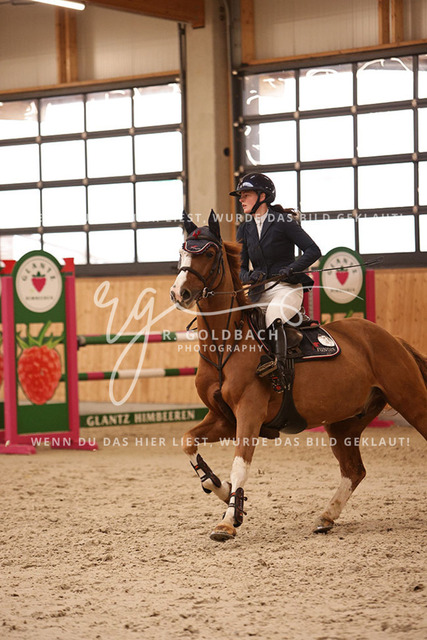 1J2A4460Lilli Plath_ Butler of Picobello Z_ Kn039_ Hohen Wieschendorf_ Glantz | Foto- und Videografie für alles rund ums Pferd. Hochwertige Bilder und Videos vom Spring- und Dressurreiten, Voltigieren & mehr. Jetzt aktuelle Veranstaltungen und Preise im Shop ansehen. - Realisiert mit Pictrs.com