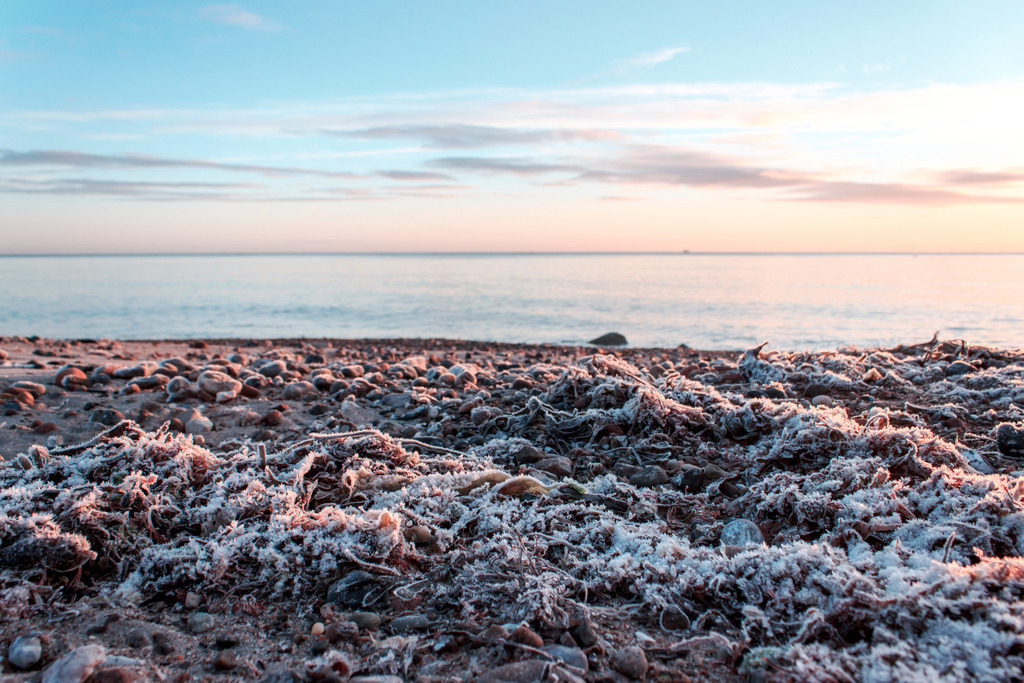 Wandbild: Morgenrot am winterlichen Strand | Dieses Wandbild zeigt eine schöne Morgenstimmung am Meer. Der Himmel und das Meer leuchten teilweise rot und orange im Licht der aufgehenden Sonne. Kleine graue Wolken befinden sich am Himmel. Am Strand wird der Seetang vom Morgenrot angeleuchtet. Kaufen Sie sich diese schöne maritime Morgenstimmung auf Leinwand, Alu-Dibond oder Acrylglas. Ideal fürs Wohnzimmer, Schlafzimmer, Küche, den Arbeitsplatz oder die Ferienwohnung. Die Wandbilder werden individuell für Sie in vielen Abmessungen produziert. Daher passen die Ostseekult Wandbilder immer perfekt an Ihre Wände. - Realisiert mit Pictrs.com