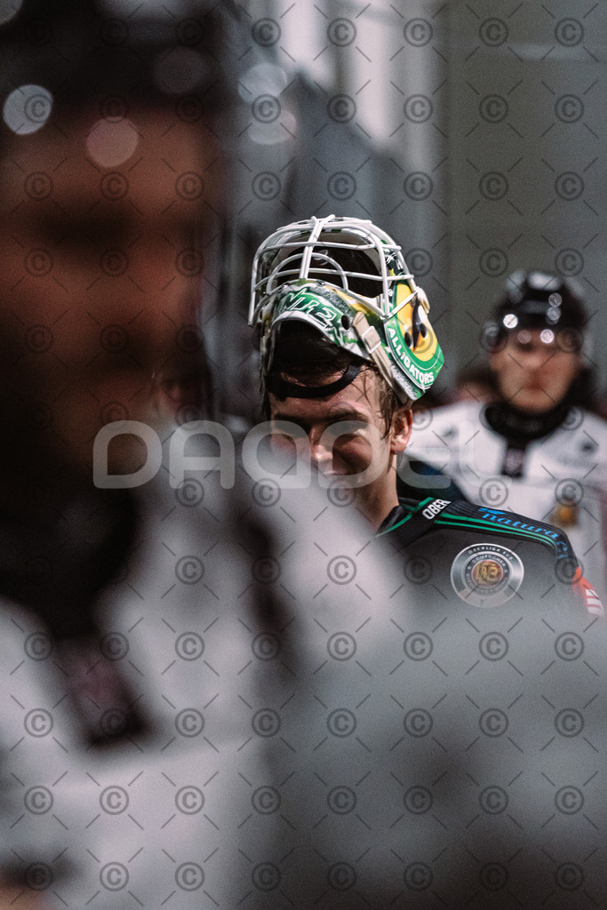 Alligators_vs_Passau_26_12_2025-058 | Höchstadt Alligators Fotogalerie: Eishockey-Action aus Franken. Professionelle Spielfotos, Portraits & Stadionbilder zum Download. Jetzt entdecken! - Realisiert mit Pictrs.com