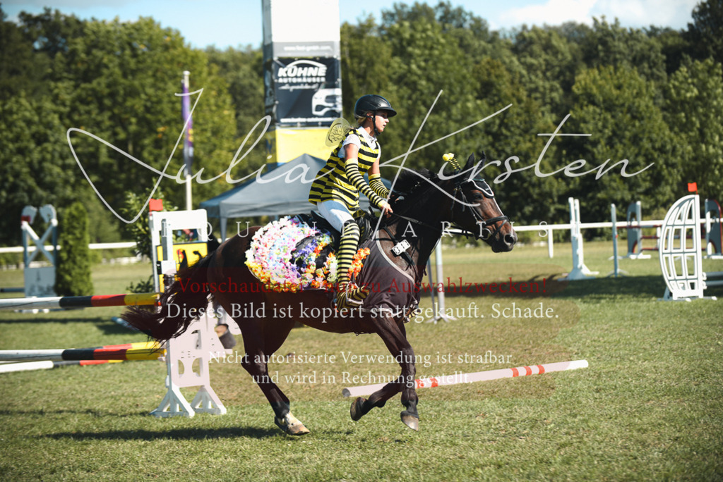 DSC_7684 | Pferde- und Turnierfotografie in Westsachsen. Pferdeportraits, Auftragszeichnungen und intuitive Kunst.
