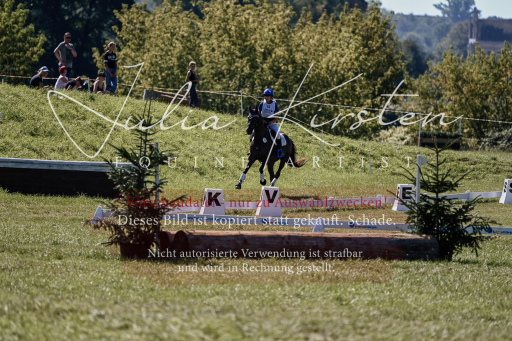 DSC_1683 | Pferde- und Turnierfotografie in Westsachsen. Pferdeportraits, Auftragszeichnungen und intuitive Kunst.