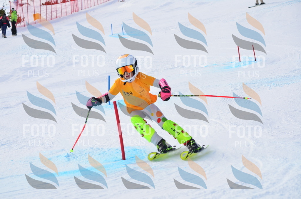 C7828 | holidayphoto