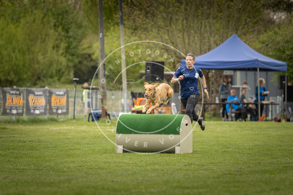 Pfotenfotografie_DV3A7042 | Hundefotografie, Tierfotograf, Pfotenfotografie, Fotoshooting Hund, Hunde Portrait, Hundesport, Hundeportraits, Heideshooting, Hunde, Sportfotograf, Hundefotograf, Turnierhundsport, THS,  - Realisiert mit Pictrs.com