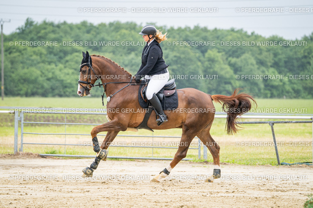 DSC01644 | Pferdegrafie