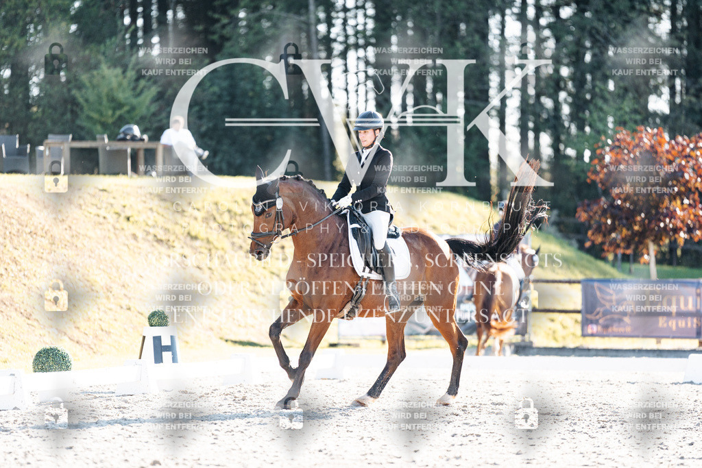 CK906811 | Turnierfotografie Pferdefotografie Trier Rheinland-Pfalz Pferdesport Reitsport Tierfotografie Sportfotografie Pferdevideo Pferdevideografie Equestrianvideography equestrianphotography  - Realisiert mit Pictrs.com