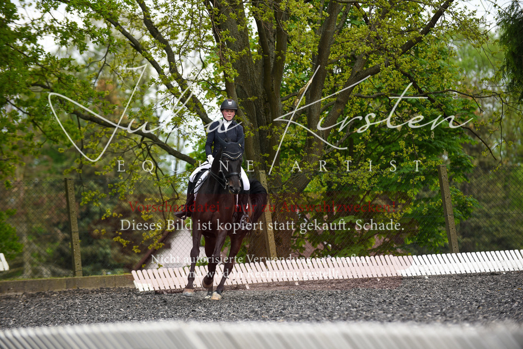 20230513_JK-Röhrsdorf-17-289 | Pferde- und Turnierfotografie in Westsachsen. Pferdeportraits, Auftragszeichnungen und intuitive Kunst.