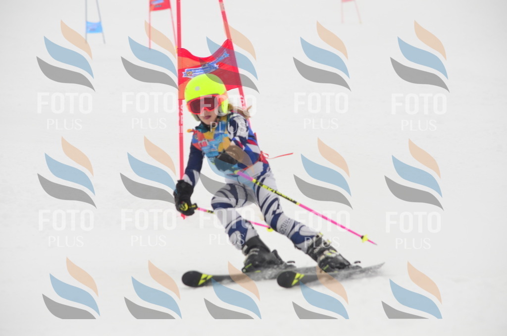 C1310 | holidayphoto