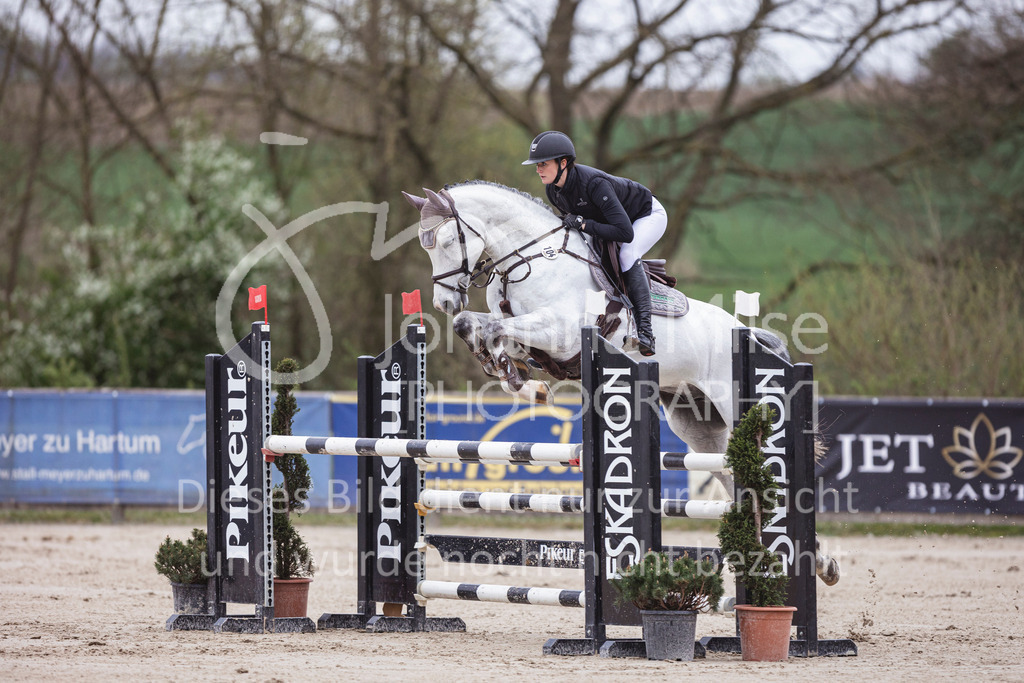 250417_Springpferde-L2-308 | Deine schönsten Turniermomente als professionelle Fotos! Entdecke hochwertige Pferdesport-Fotografie im Online-Shop. Jetzt Fotos finden & bestellen!