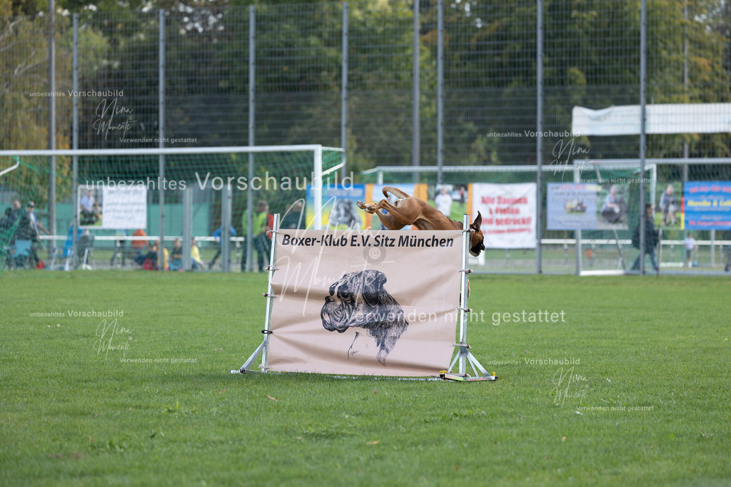 _16A5614 | Einzigartige Fotos von Hunden & Menschen –Actionfotos, Portraits, Vereinsaufnahmen & Paarshootings – authentisch, lebendig & mit Herz.