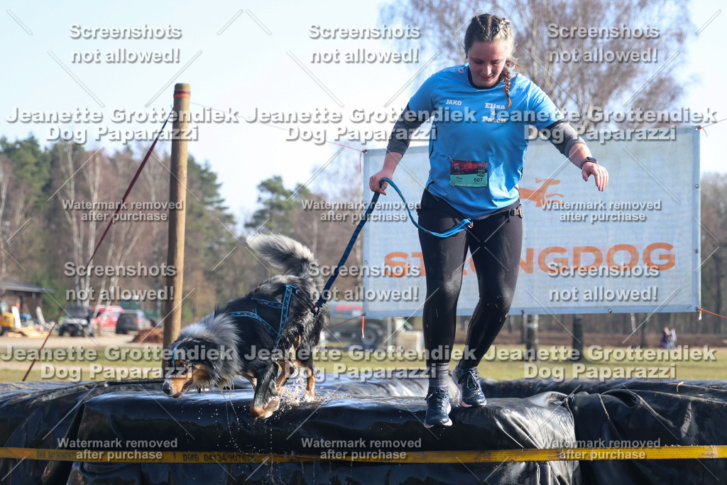 Dog Paparazzi - Strongdog North Mrz26-1139 | Dog Paparazzi Jeanette Grottendiek Fotografie & Videografie - Realisiert mit Pictrs.com