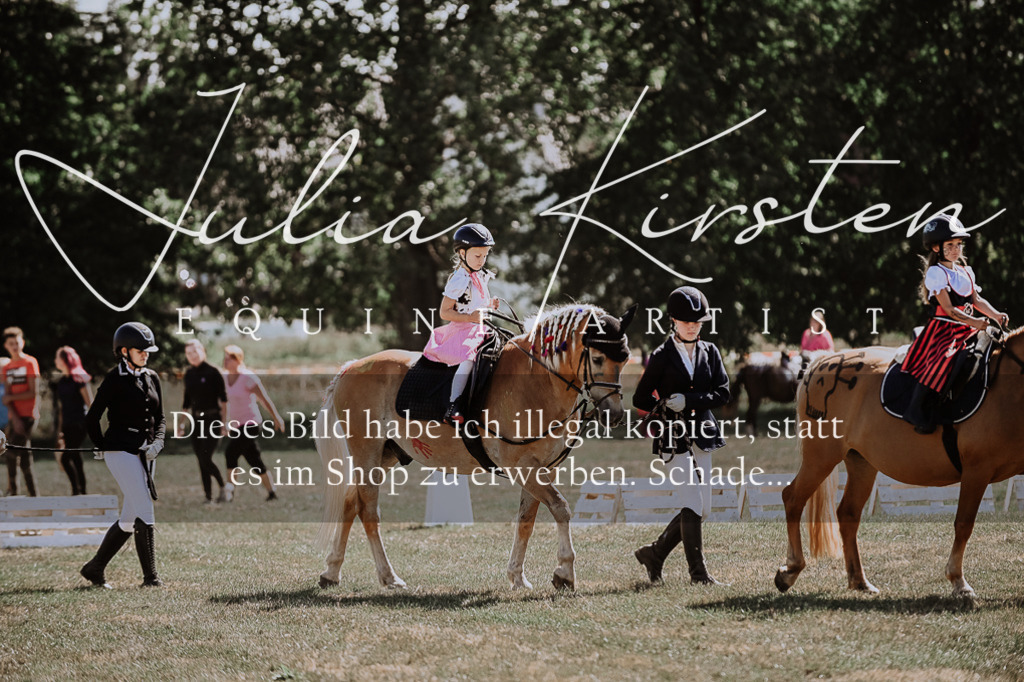 DSC_9023 | Pferde- und Turnierfotografie in Westsachsen. Pferdeportraits, Auftragszeichnungen und intuitive Kunst.