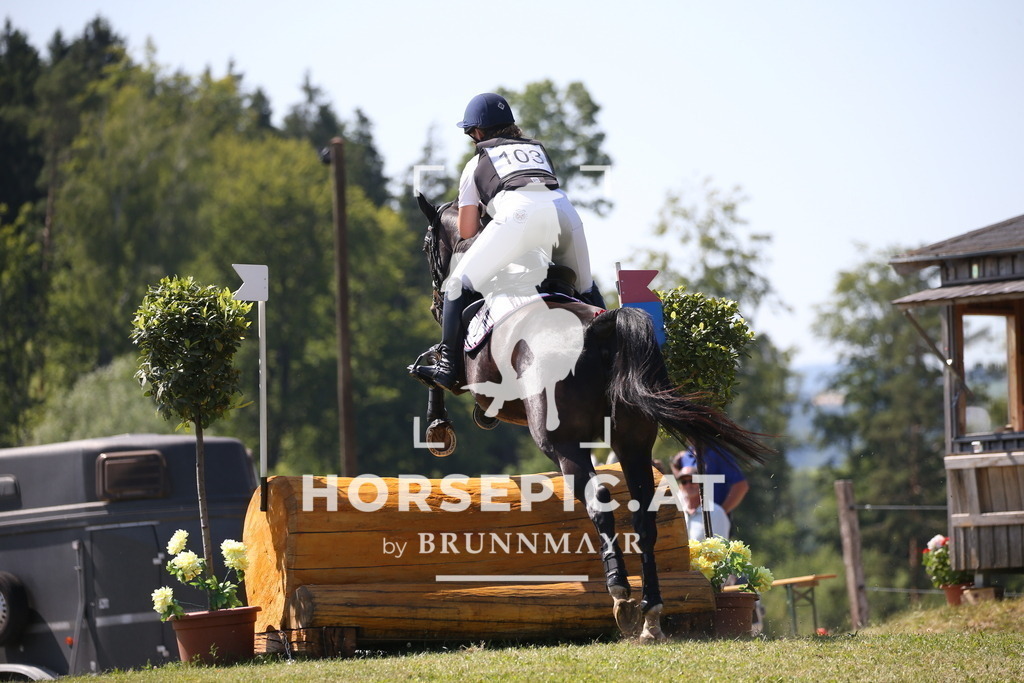 DL2Q1547 | Willkommen bei Brunnmayr - Design & Fotografie – Ihrem Spezialisten für Reitturniere und Pferdeveranstaltungen in Oberösterreich, Salzburg und Bayern! Seit über 17 Jahren sind wir leidenschaftlich dabei.