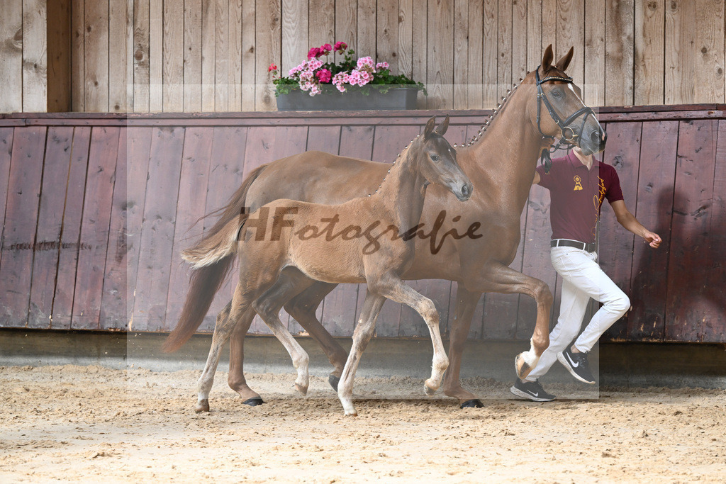 Kat-Nr. 18 SF Fuerst Jazz_Schindele_26230227 | hf-fotografie - Realizzato con Pictrs.com