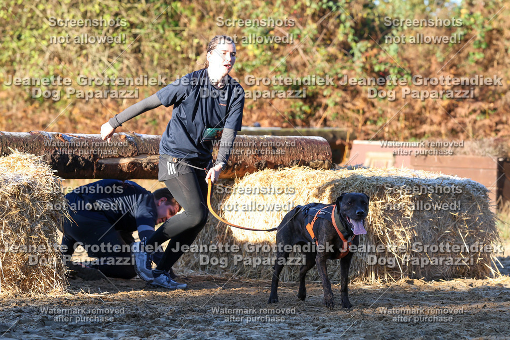 Dog Paparazzi - Strongdog 10-25-805 | Dog Paparazzi Jeanette Grottendiek Fotografie & Videografie - Realisiert mit Pictrs.com