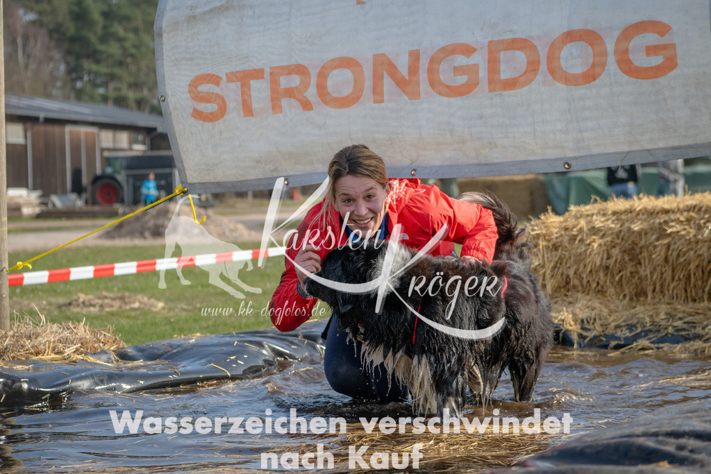 _ZZ90991 | kk-dogfotos