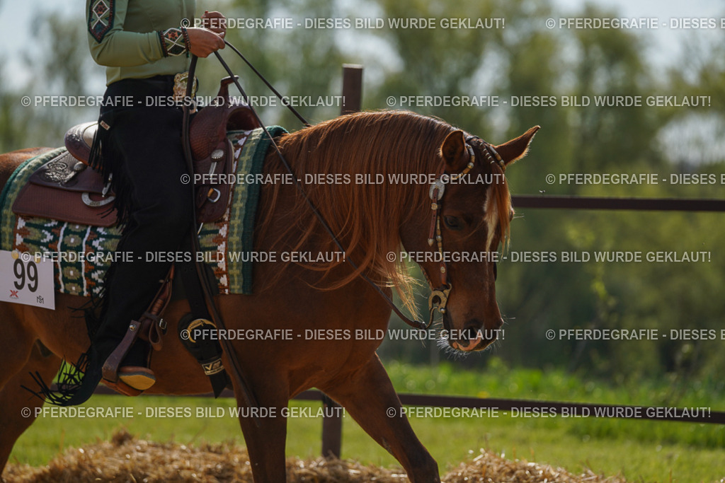 DSC01778 | Pferdegrafie