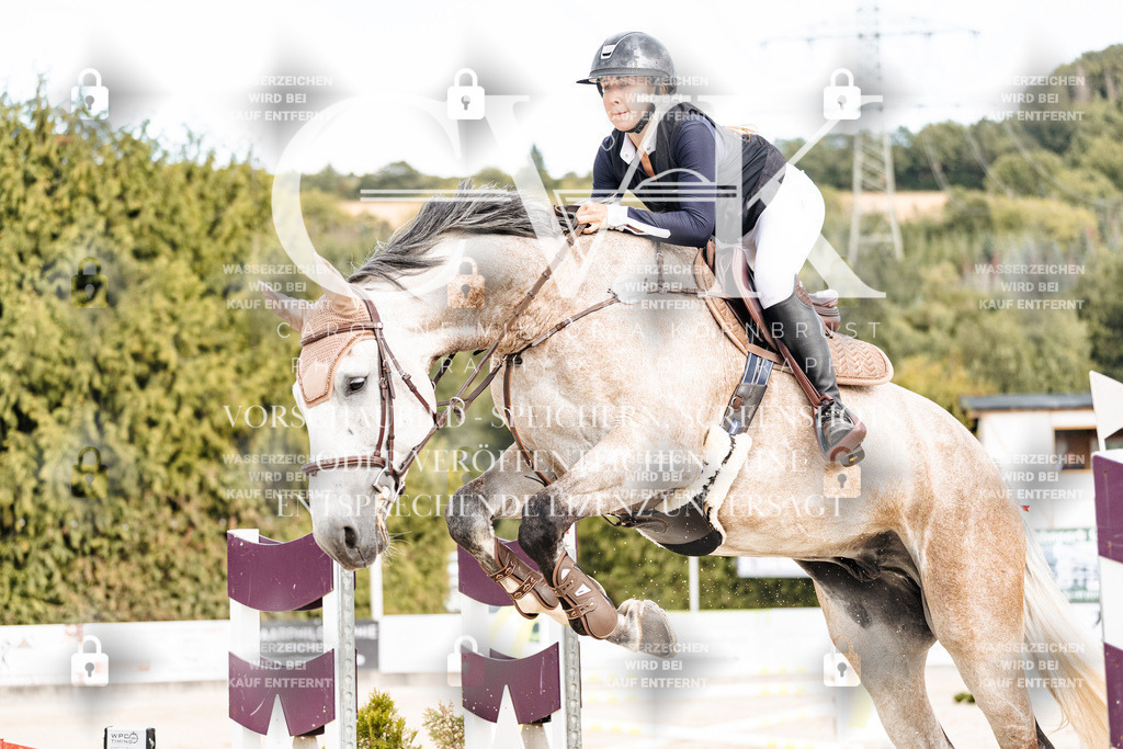 CK902817 | Turnierfotografie Pferdefotografie Trier Rheinland-Pfalz Pferdesport Reitsport Tierfotografie Sportfotografie Pferdevideo Pferdevideografie Equestrianvideography equestrianphotography  - Realisiert mit Pictrs.com
