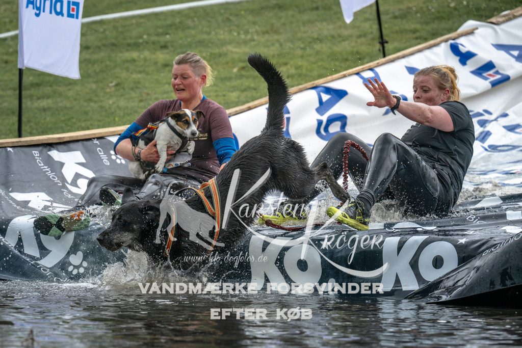 1517_ZZ94303 | kk-dogfotos